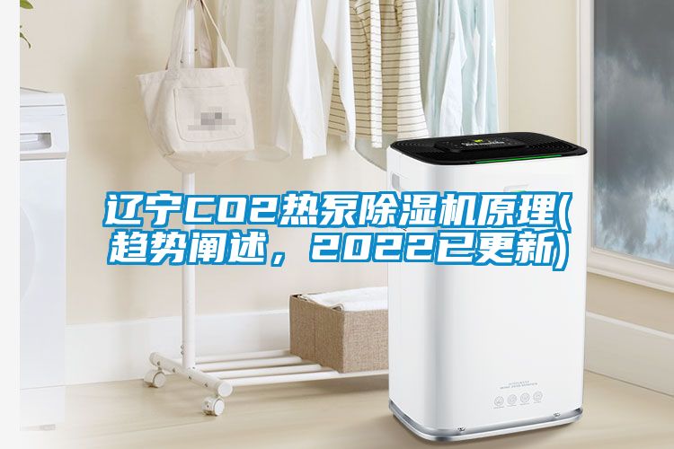 遼寧CO2熱泵除濕機原理(趨勢闡述，2022已更新)