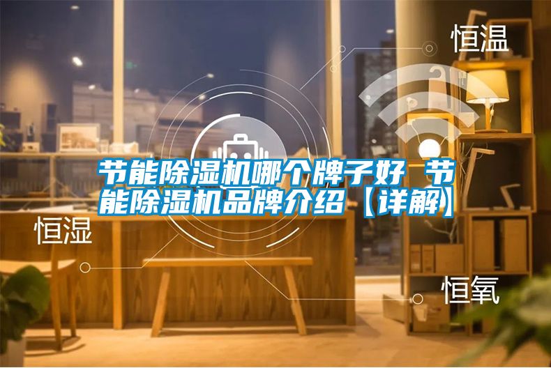 節能除濕機哪個牌子好 節能除濕機品牌介紹【詳解】
