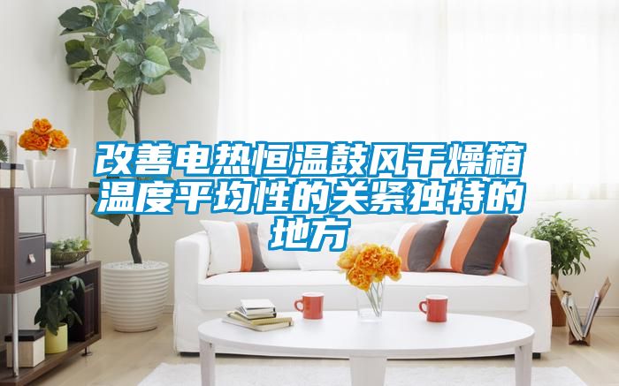改善電熱恒溫鼓風干燥箱溫度平均性的關緊獨特的地方
