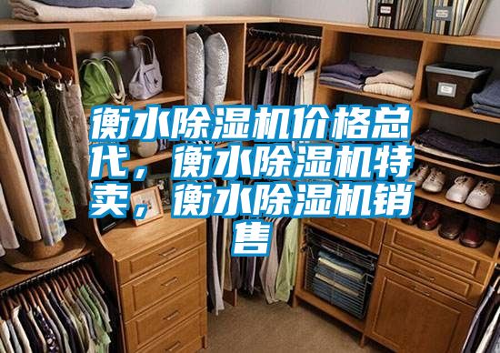 衡水除濕機價格總代，衡水除濕機特賣，衡水除濕機銷售