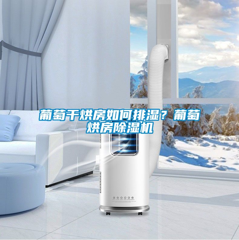 葡萄干烘房如何排濕？葡萄烘房除濕機