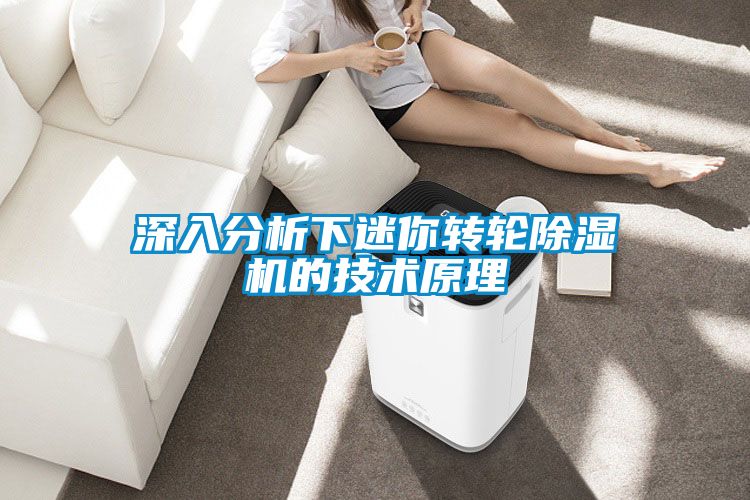 深入分析下迷你轉輪除濕機的技術原理
