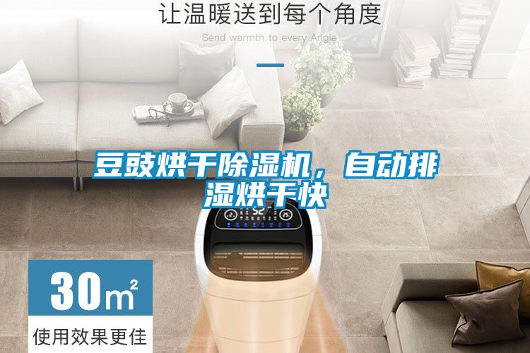 豆豉烘干除濕機，自動排濕烘干快