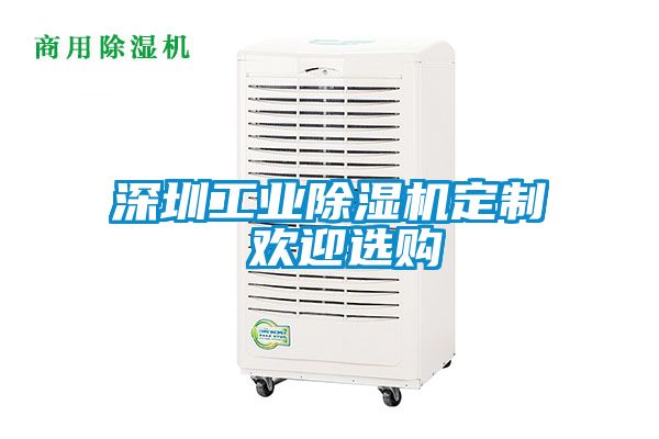 深圳工業除濕機定制 歡迎選購