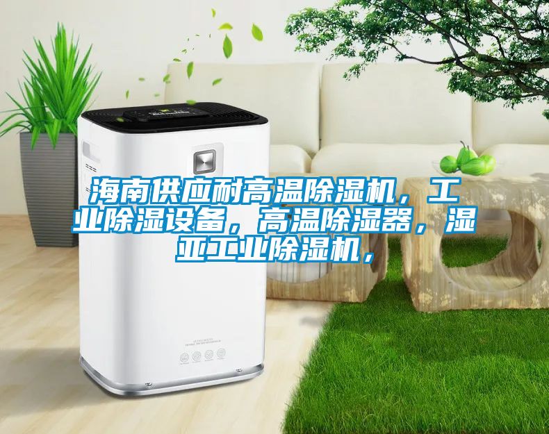 海南供應(yīng)耐高溫除濕機(jī)，工業(yè)除濕設(shè)備，高溫除濕器，濕亞工業(yè)除濕機(jī)，