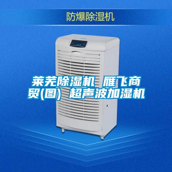 萊蕪除濕機 雁飛商貿(圖) 超聲波加濕機