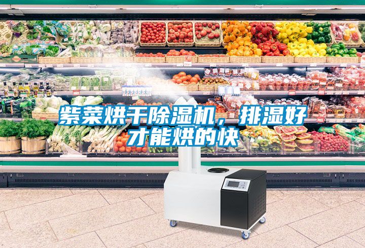 紫菜烘干除濕機(jī)，排濕好才能烘的快