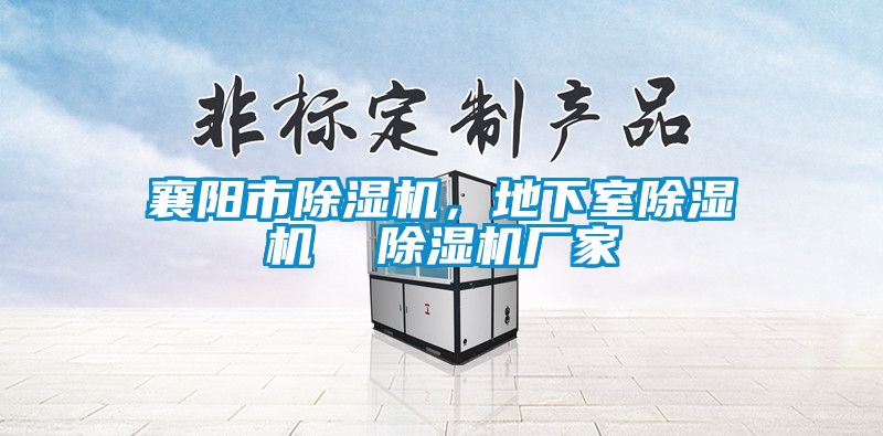 襄陽市除濕機(jī)，地下室除濕機(jī)  除濕機(jī)廠家