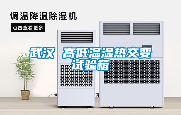 武漢 高低溫濕熱交變試驗(yàn)箱