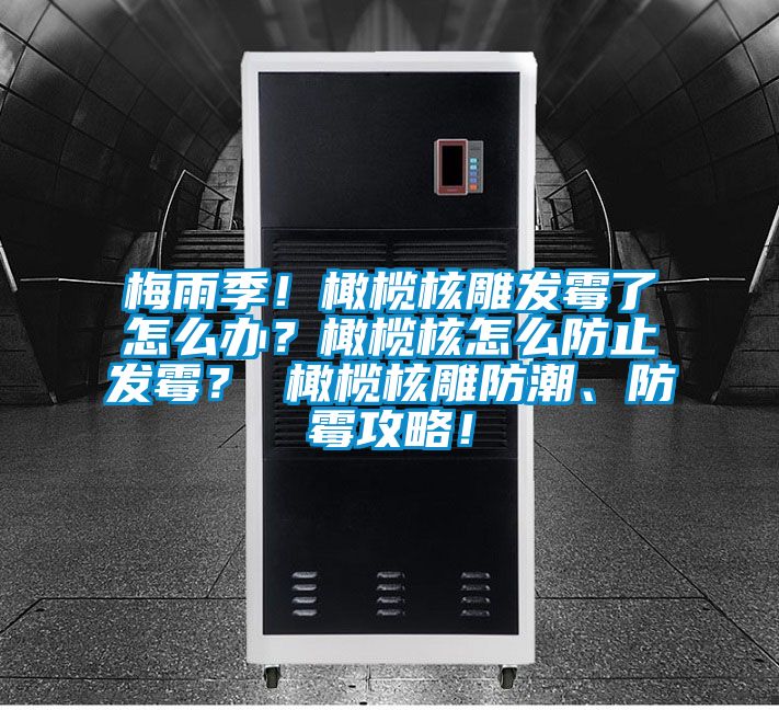 梅雨季！橄欖核雕發(fā)霉了怎么辦？橄欖核怎么防止發(fā)霉？ 橄欖核雕防潮、防霉攻略！