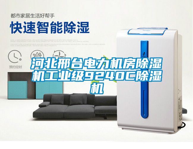 河北邢臺電力機房除濕機工業級9240C除濕機