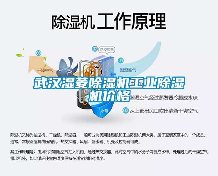 武漢濕菱除濕機工業除濕機價格