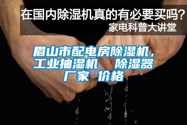 眉山市配電房除濕機，工業抽濕機  除濕器廠家 價格