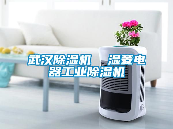 武漢除濕機  濕菱電器工業除濕機