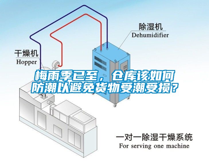梅雨季已至，倉庫該如何防潮以避免貨物受潮受損？