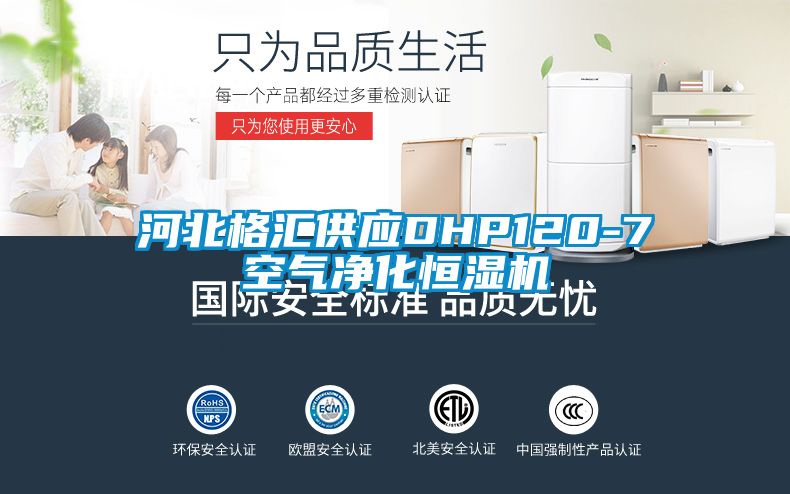 河北格匯供應DHP120-7空氣凈化恒濕機