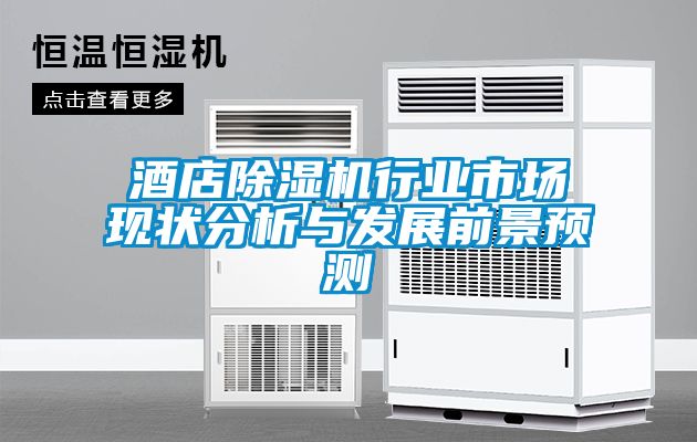 酒店除濕機(jī)行業(yè)市場(chǎng)現(xiàn)狀分析與發(fā)展前景預(yù)測(cè)