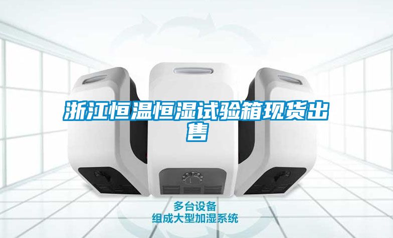 浙江恒溫恒濕試驗箱現貨出售