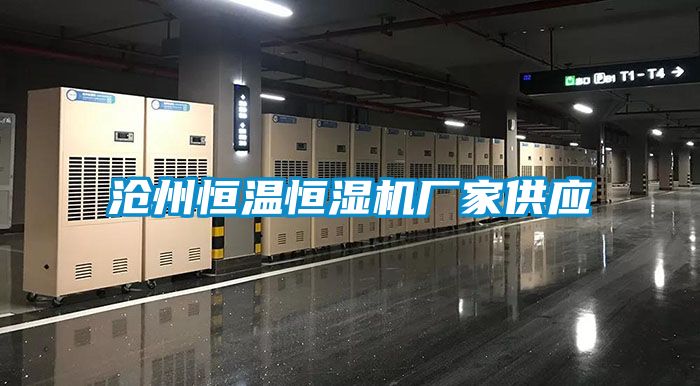 滄州恒溫恒濕機廠家供應