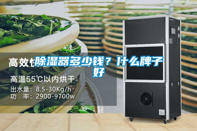 除濕器多少錢？什么牌子好