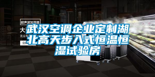 武漢空調企業定制湖北高天步入式恒溫恒濕試驗房