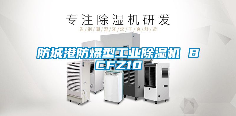 防城港防爆型工業除濕機 BCFZ10