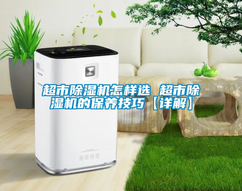 超市除濕機怎樣選 超市除濕機的保養技巧【詳解】