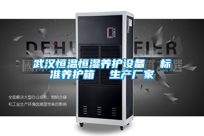 武漢恒溫恒濕養(yǎng)護設備  標準養(yǎng)護箱  生產廠家