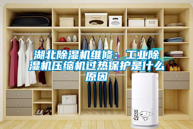 湖北除濕機維修：工業(yè)除濕機壓縮機過熱保護(hù)是什么原因