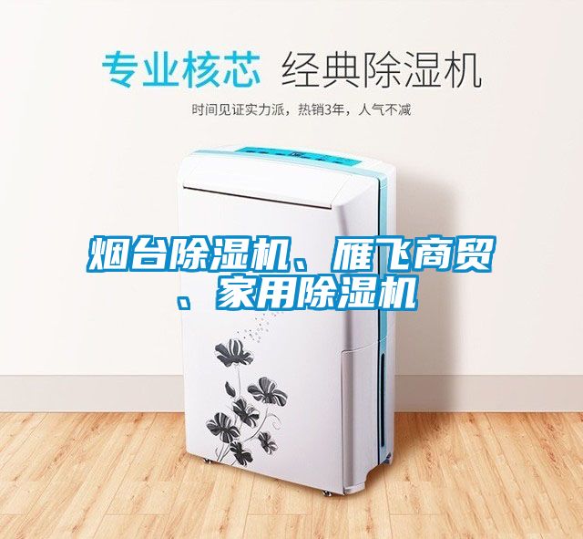 煙臺除濕機、雁飛商貿、家用除濕機