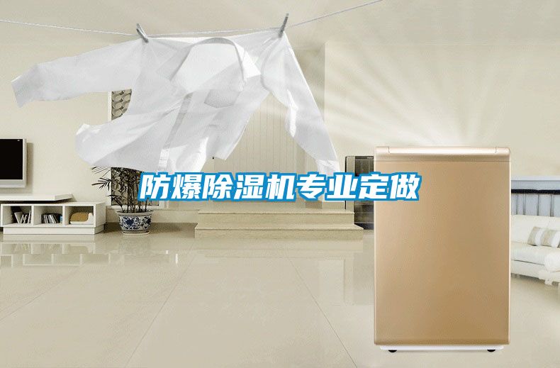 防爆除濕機專業定做