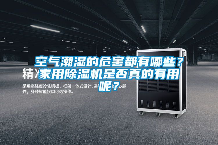 空氣潮濕的危害都有哪些？家用除濕機(jī)是否真的有用呢？
