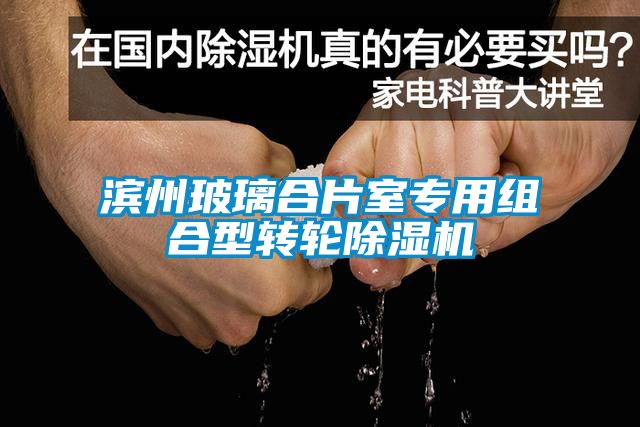 濱州玻璃合片室專用組合型轉輪除濕機
