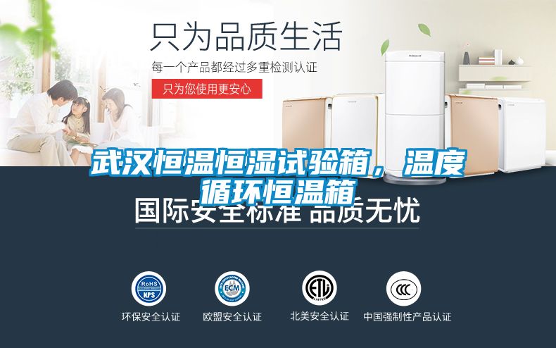 武漢恒溫恒濕試驗箱，溫度循環恒溫箱