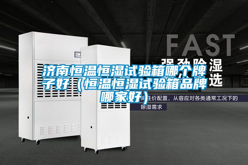 濟南恒溫恒濕試驗箱哪個牌子好（恒溫恒濕試驗箱品牌哪家好）