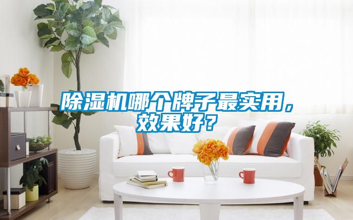 除濕機哪個牌子最實用，效果好？