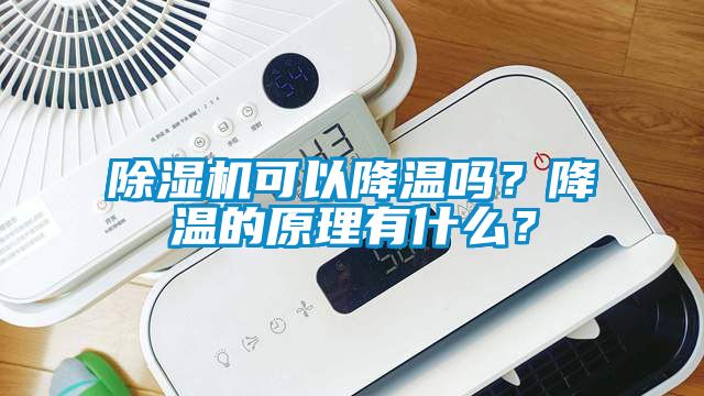 除濕機(jī)可以降溫嗎？降溫的原理有什么？