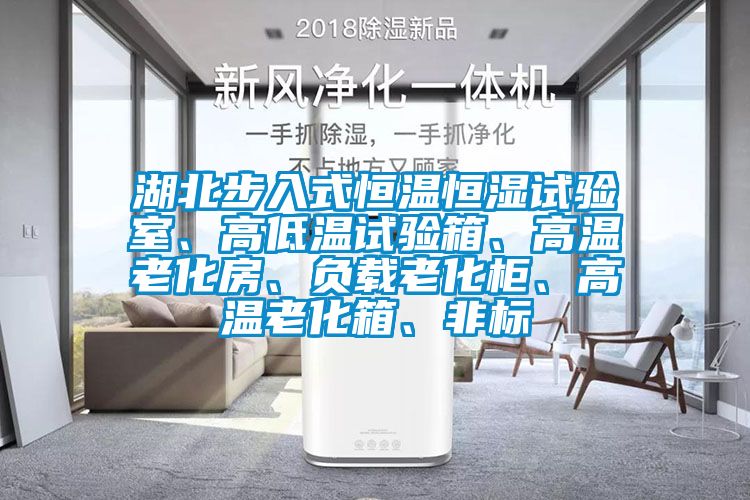 湖北步入式恒溫恒濕試驗室、高低溫試驗箱、高溫老化房、負(fù)載老化柜、高溫老化箱、非標(biāo)