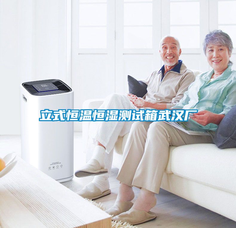 立式恒溫恒濕測(cè)試箱武漢廠