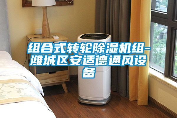 組合式轉輪除濕機組-濰城區安適德通風設備