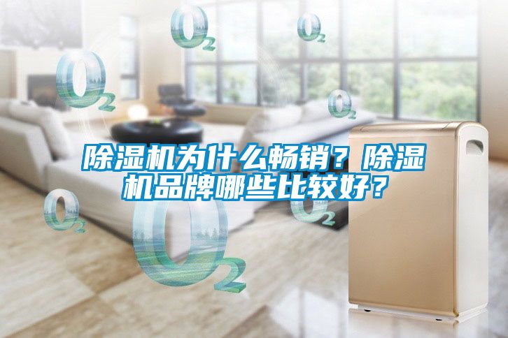 除濕機(jī)為什么暢銷？除濕機(jī)品牌哪些比較好？