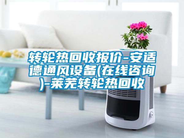 轉輪熱回收報價-安適德通風設備(在線咨詢)-萊蕪轉輪熱回收