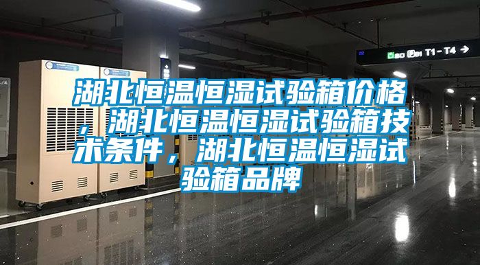 湖北恒溫恒濕試驗箱價格，湖北恒溫恒濕試驗箱技術(shù)條件，湖北恒溫恒濕試驗箱品牌