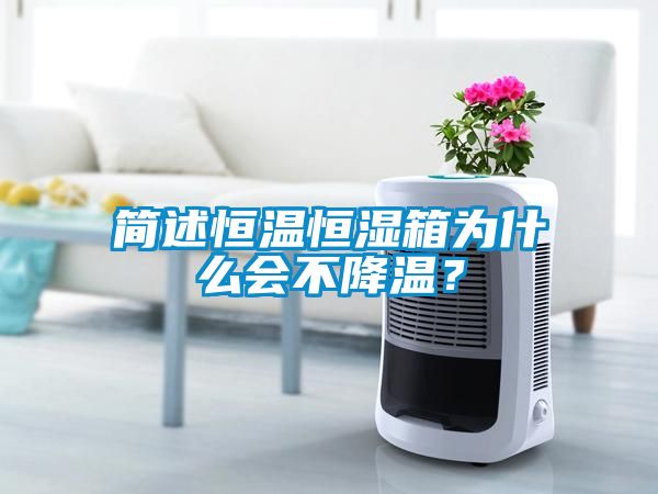 簡述恒溫恒濕箱為什么會不降溫？