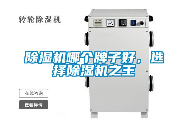 除濕機哪個牌子好，選擇除濕機之王