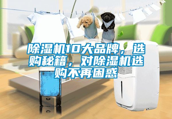 除濕機10大品牌，選購秘籍，對除濕機選購不再困惑