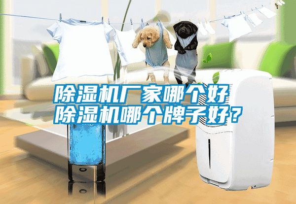 除濕機廠家哪個好 除濕機哪個牌子好？