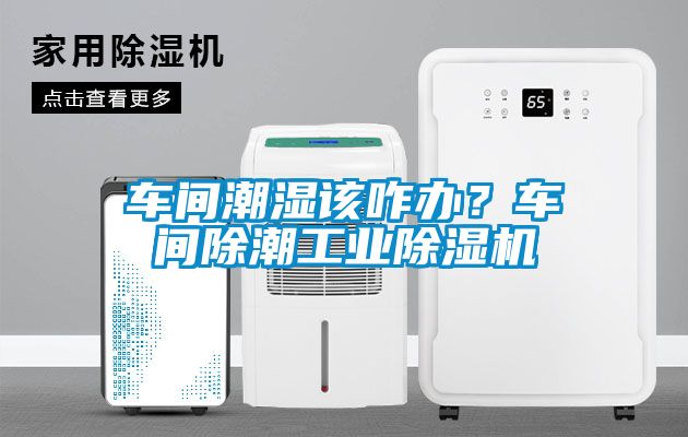 車間潮濕該咋辦？車間除潮工業(yè)除濕機