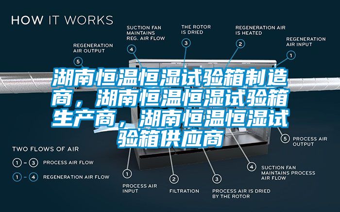 湖南恒溫恒濕試驗箱制造商，湖南恒溫恒濕試驗箱生產商，湖南恒溫恒濕試驗箱供應商