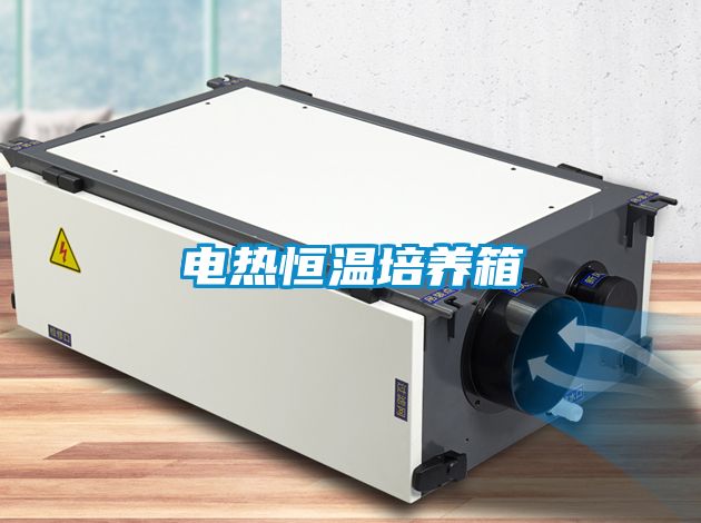 電熱恒溫培養箱